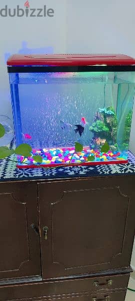 good condition fish tank 1