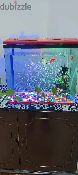 good condition fish tank 2