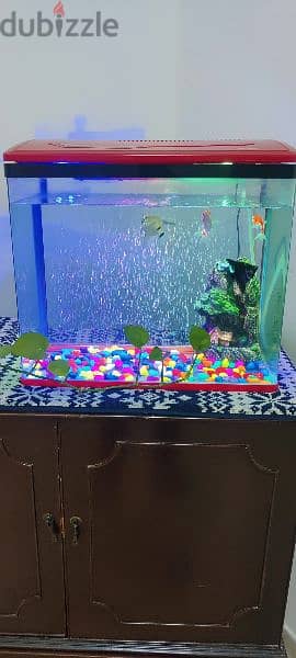 good condition fish tank 3