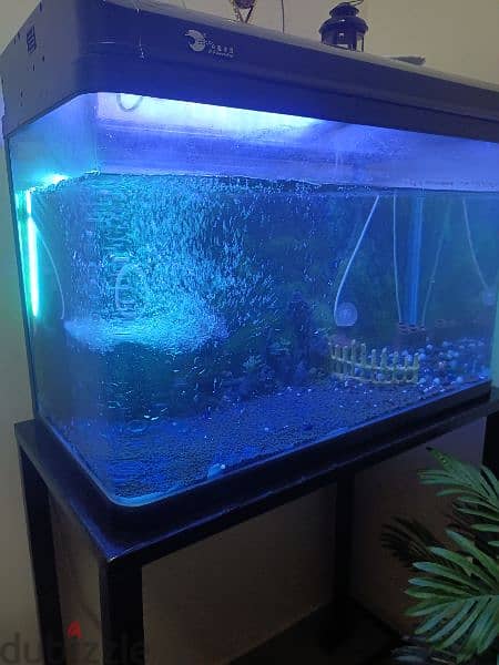 fish tank with table 1