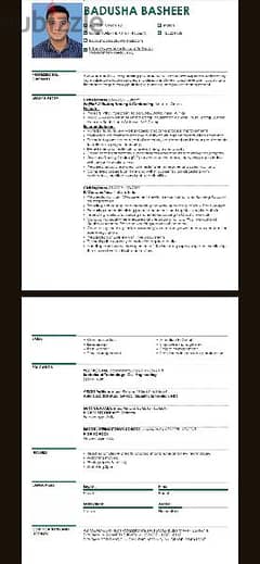 CIVIL ENGINEER LOOKING FOR JOBS