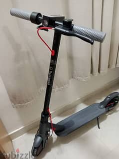 Thunderbird Electric Scooter