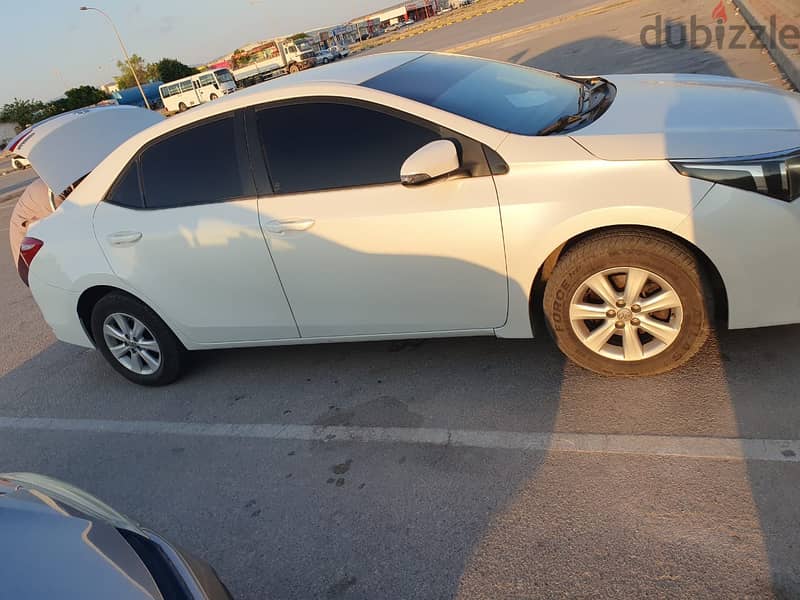 toyota corolla  for rent 2015 1