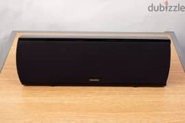 Defnetive Technology Pro1000 center speaker