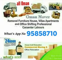 tMover and Packers and furniture and fixing