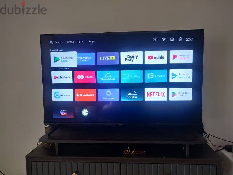 Panasonic 55" TV 1