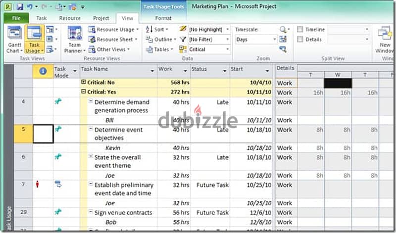 Microsoft Project 2021 Professional (sale 65%) 2