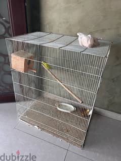 love birds with cage 0