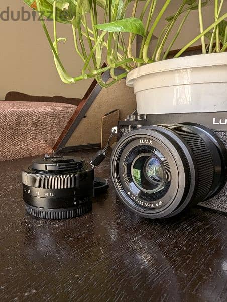 lumix GX9 with 3 lenses 5