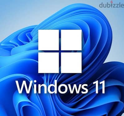 Microsoft Windows 11 Pro (sale 70%)