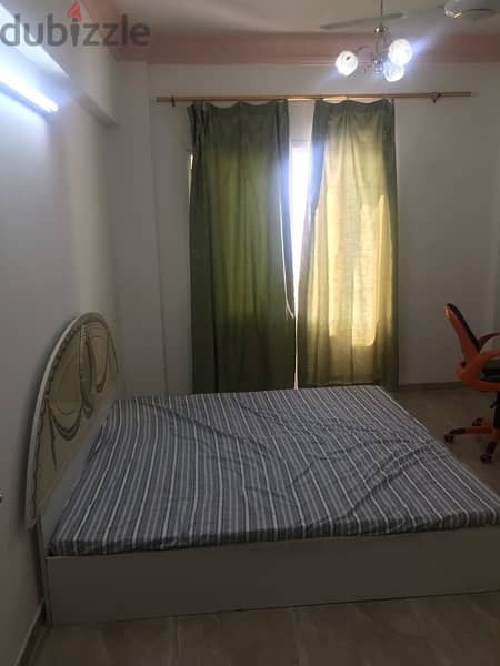 Room for Executive bachelor male or female 3