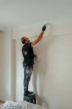 interior and exterior professional painter