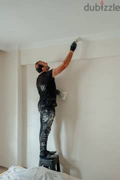 interior and exterior professional painter av