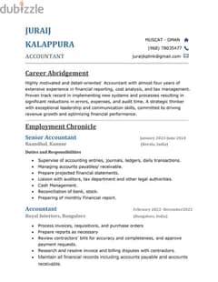 Accountant/Audit Assistant