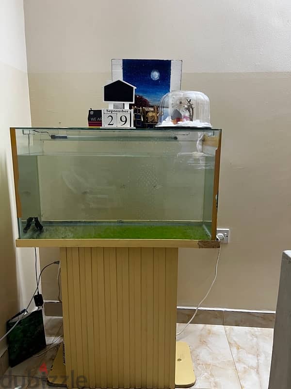 fish tank 1