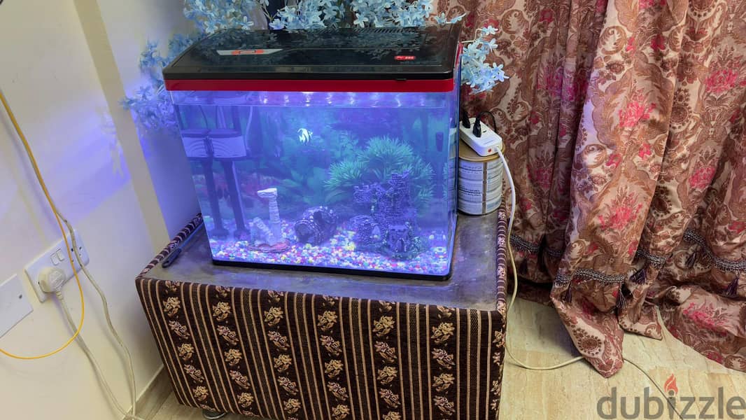 Aquarium Fish Tank 0