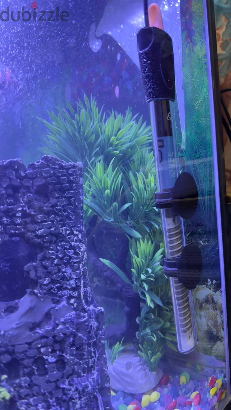 Fish Tank Aquarium 3