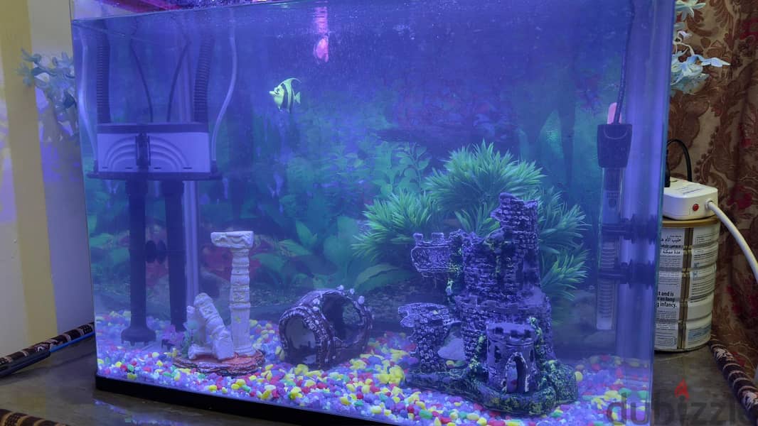 Fish Tank Aquarium 1