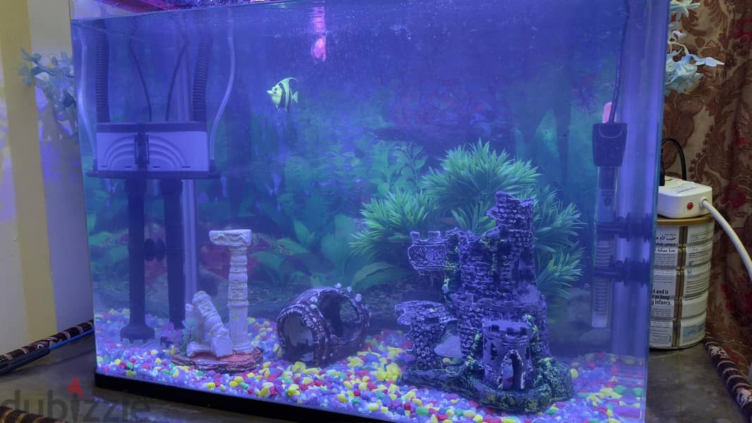 Aquarium Fish Tank 4