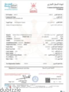 Company for Sale, SPC, السجل التجاري 0