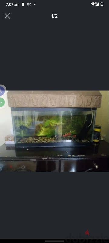 big fish tank for sale with two fish 1