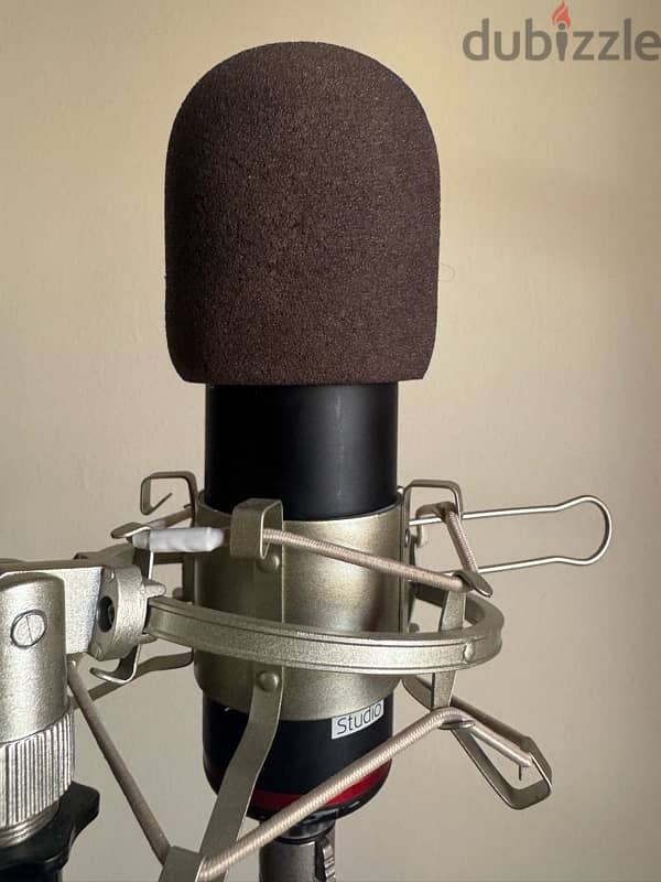 Scarlett Condenser Microphone 0