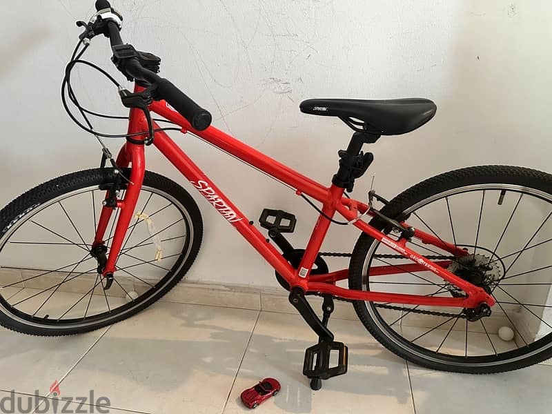 For Sale: Lightweight 8-Speed Bike RO 35 4