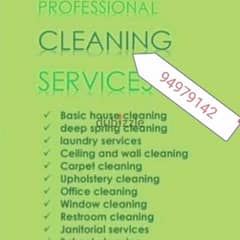 home cleaning house cleaning apartment cleaning villa cleaning flat 0