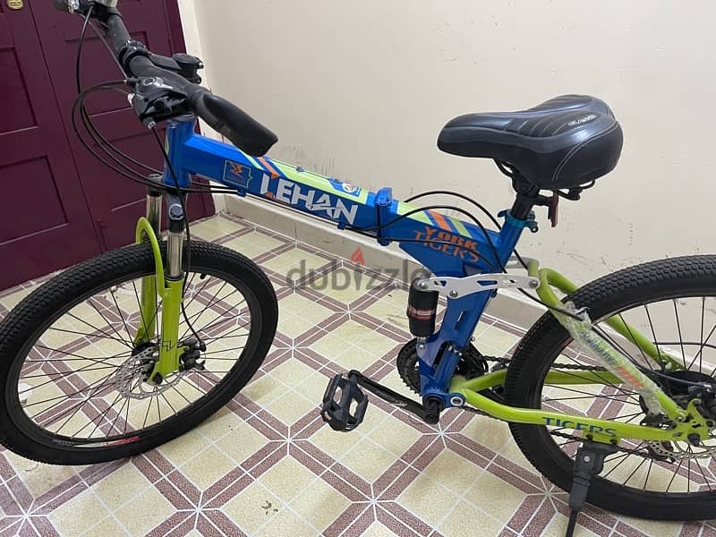 Bicycle for Teenagers, Size 24'' 0