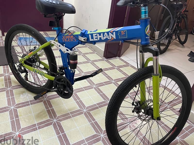 Bicycle for Teenagers, Size 24'' 1