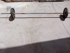 barbell 25kg 0