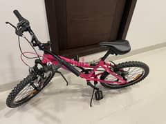 Cycle (Pink)