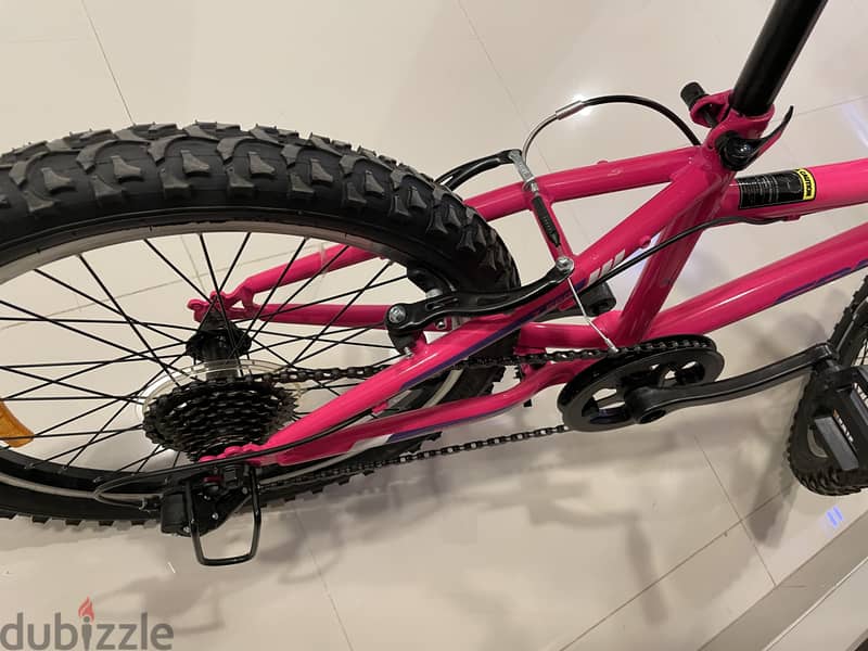 Cycle (Pink) 1