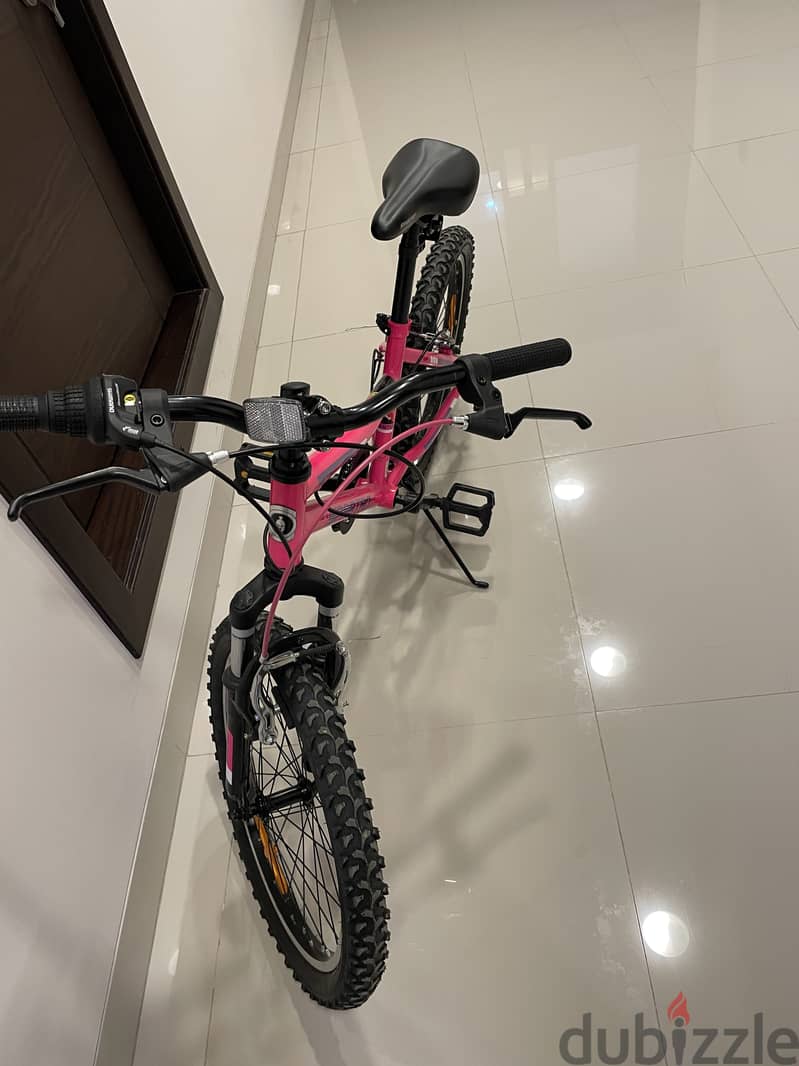 Cycle (Pink) 3