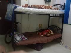 Bed Space Available in  Al Hamriya, Ruwi 0