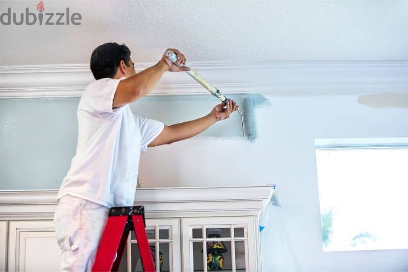 House/Building painting services 4