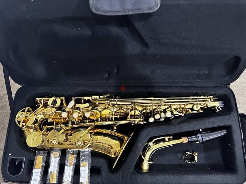 Professional Alto Saxophone Eastar Wind Band AIII 0