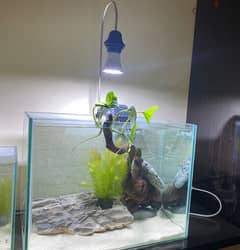 New Aquarium with Accessories