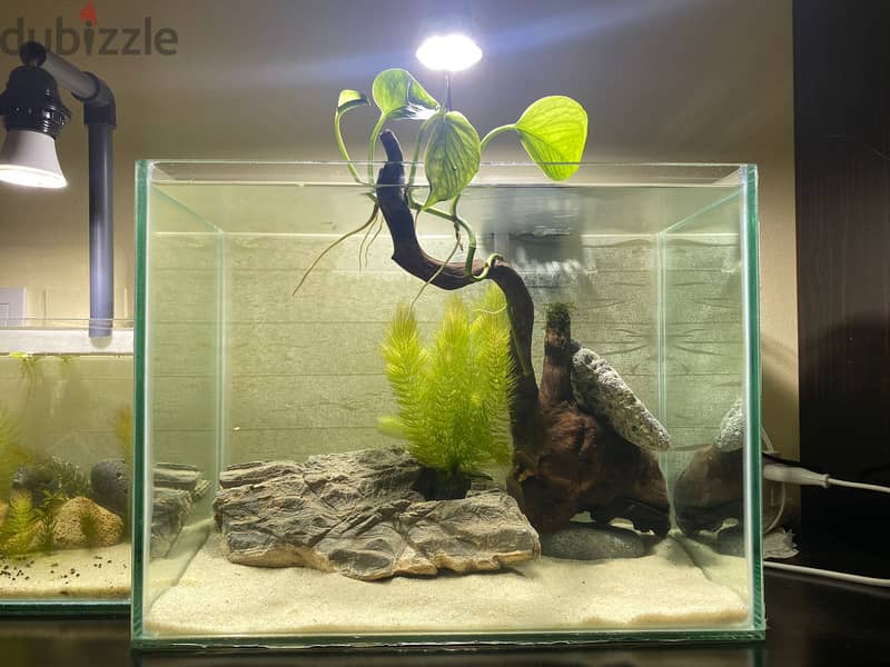 New Aquarium with Accessories 2