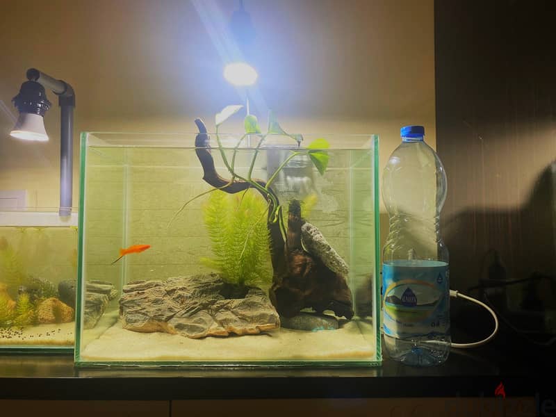 New Aquarium with Accessories 4