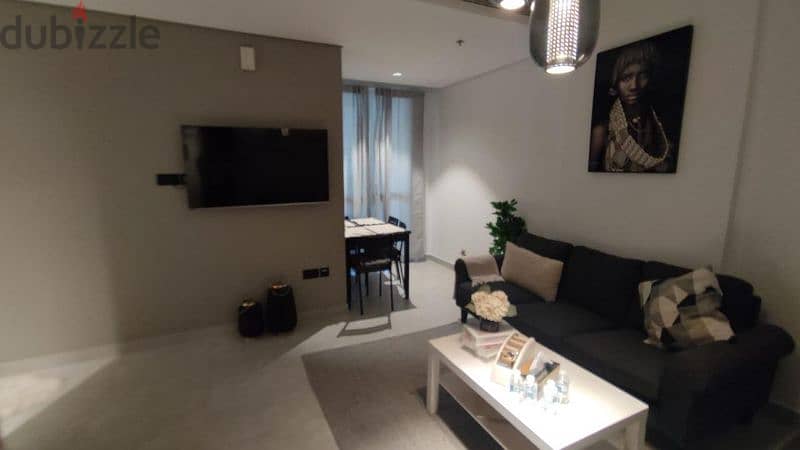 luxurious  fully furnished  flat in muscat hills with a beautiful view 14