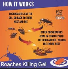 cockroach killer gel 0