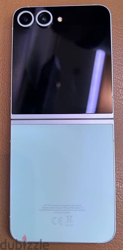 Samsung Flip 6 Mint color 1