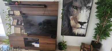 Al most brand new TV/Entertainment unit