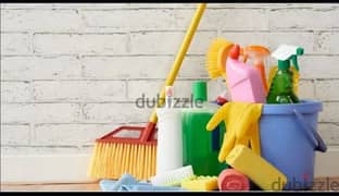 house, villas , office , flats apartments garden kitchen deep cleaning 0