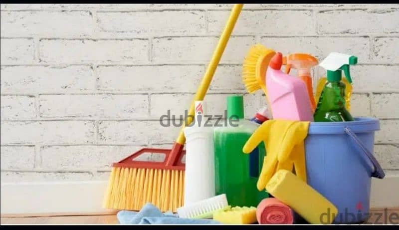 house, villas , office , flats apartments garden kitchen deep cleaning 0