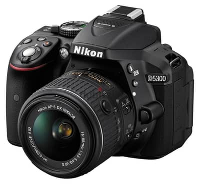 Nikon D5300 24.2MP Digital SLR Camera - Kit w/ AF 18-55mm