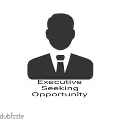 Executive / Company Secretary