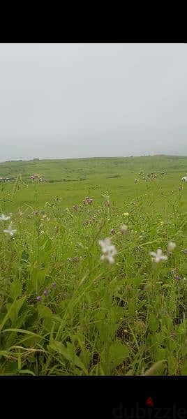 فرصه ذهبيه ولاية طاقة . . مربع ( ك ) 

أطلاله على الجبل و أحضان الطبيعه 1