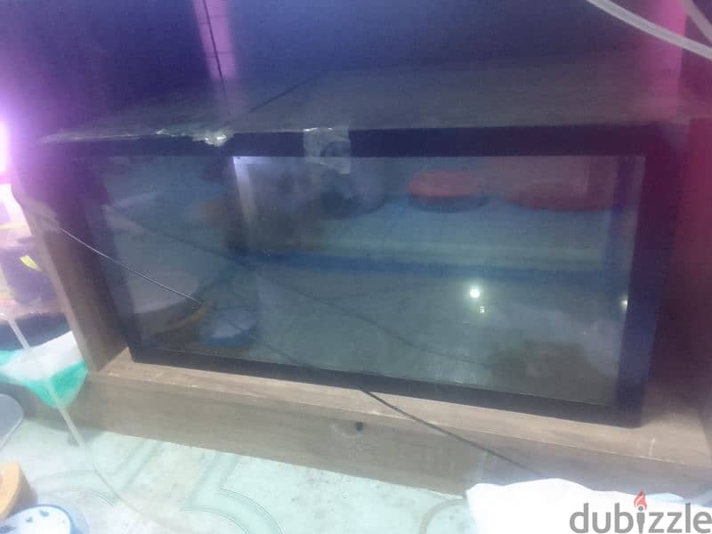 small aquarium for sale 0